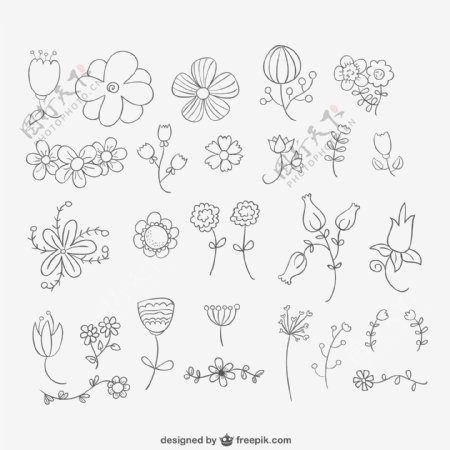 26款手绘花朵设计矢量素材