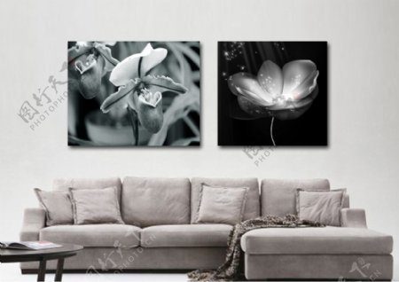 黑白简约花卉客厅装饰画