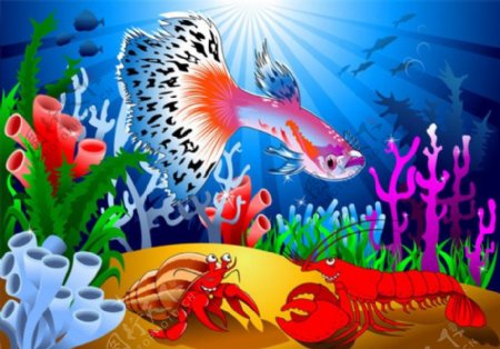 红色龙虾和彩色小鱼图片