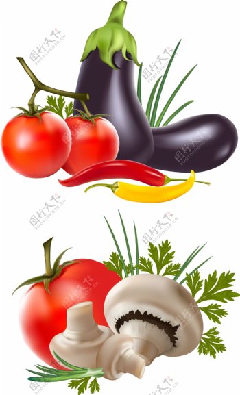 蔬菜茄子