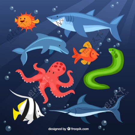 卡通海洋动物矢量素材图片
