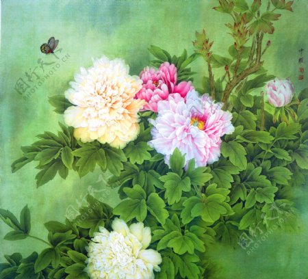 鲜花植物油画背景图片