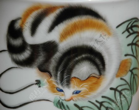 彩色手绘小猫图片