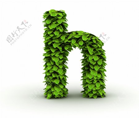绿叶组成的字母h图片