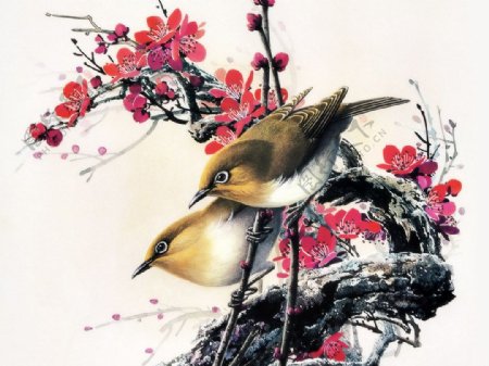 国画鸟与梅花图片