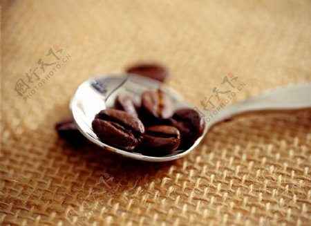勺子中的咖啡豆图片