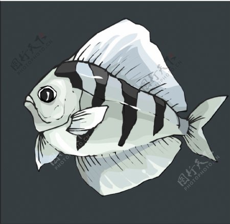 五彩小鱼水生动物矢量素材EPS格式0367