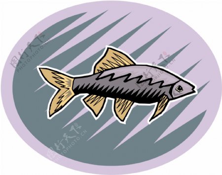五彩小鱼水生动物矢量素材EPS格式0703
