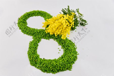 绿色植物组成的数字8图片