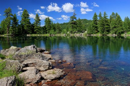 绿树湖面和石头图片