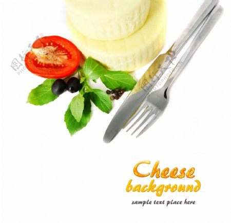 奶酪15图片