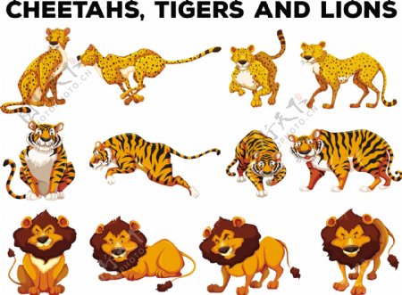 一套猎豹和老虎插图