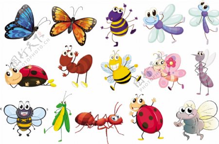 一组不同种类昆虫的插图