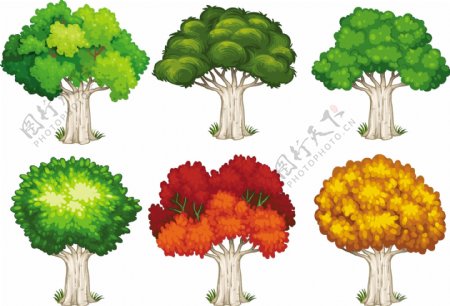 不同形状的树插图