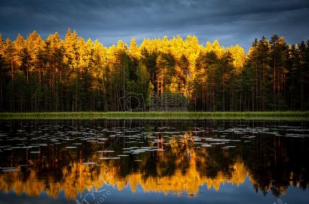 自然天空水森林树木湖泊反射和平