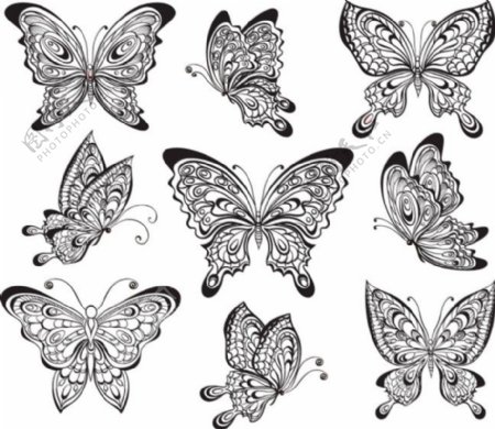蝴蝶图案花纹矢量