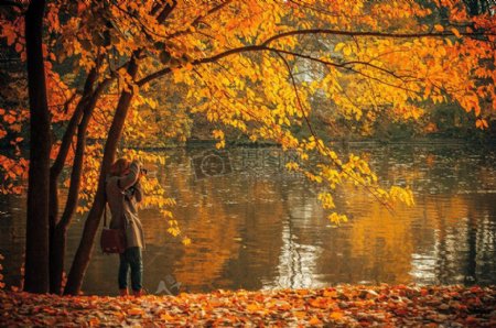 人摄影师摄影湖叶子秋天秋天褐色