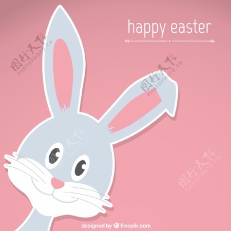 复活节兔子贺卡图片