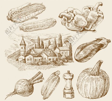 素描乡村的蔬菜矢量图形下载