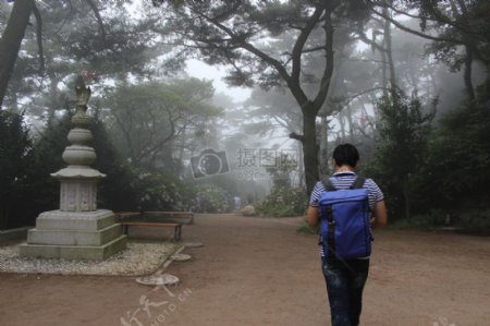寺黎明旅行雾安静釜山景观