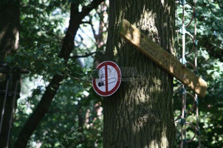 树木上的警示牌