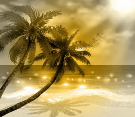 椰子树黄昏背景