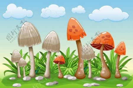 蘑菇草地背景素材