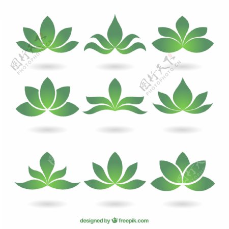 绿色植物的标志