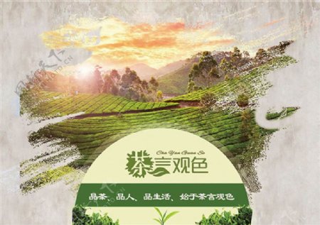 茶叶宣传海报设计psd素材