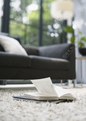 地毯上的书籍图片