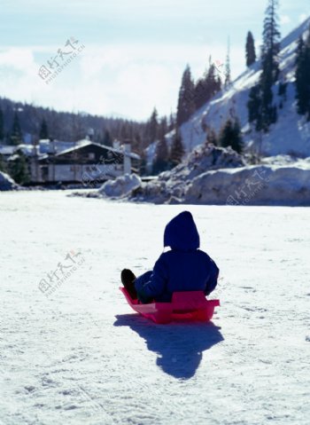 坐在雪橇上的小男孩图片