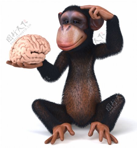 摸脑子的黑猩猩图片