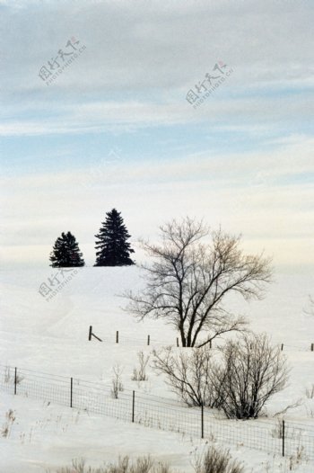 雪地美景图片