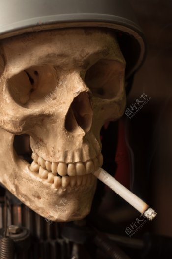 抽烟的骷髅