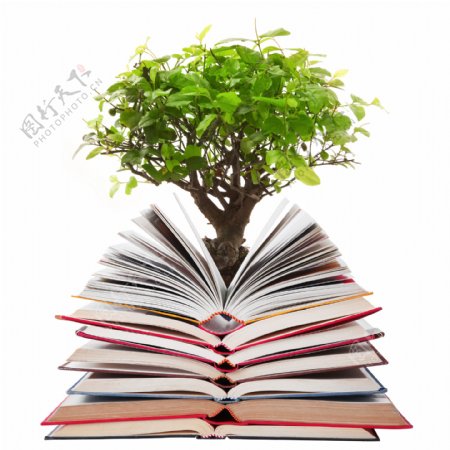 书本与树木图片