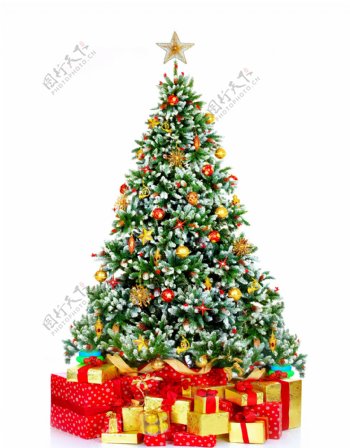 时尚漂亮的圣诞树与礼物包图片