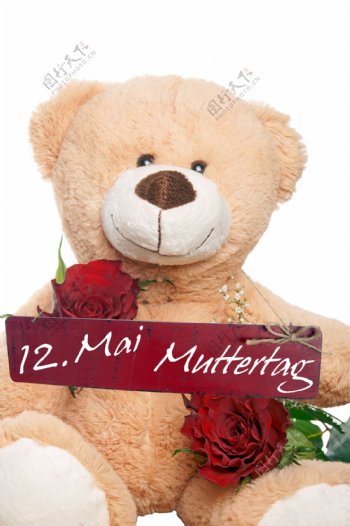 泰迪熊与玫瑰花图片