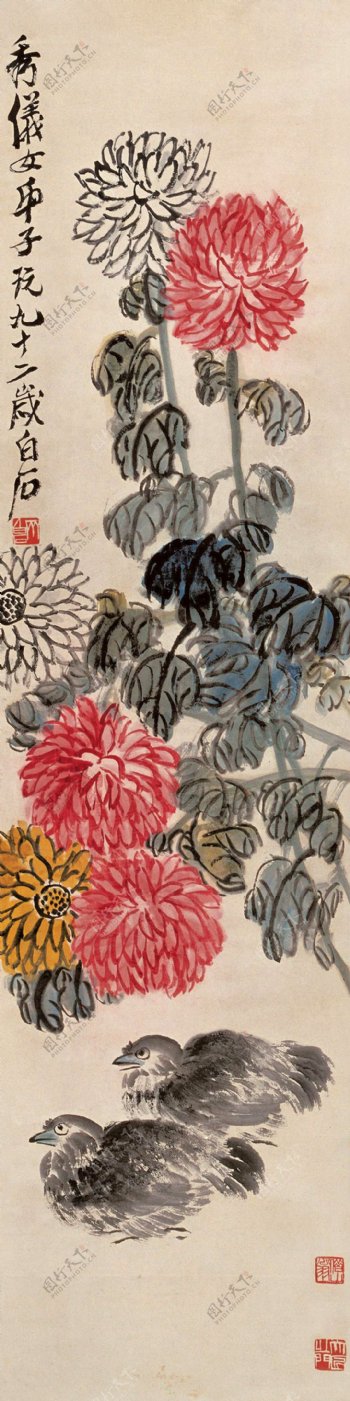 秋菊鹌鹑图片