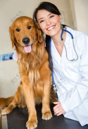 医生和狗狗