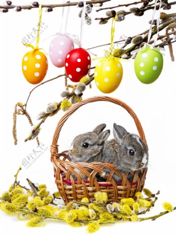 手提篮子里的兔子与彩蛋
