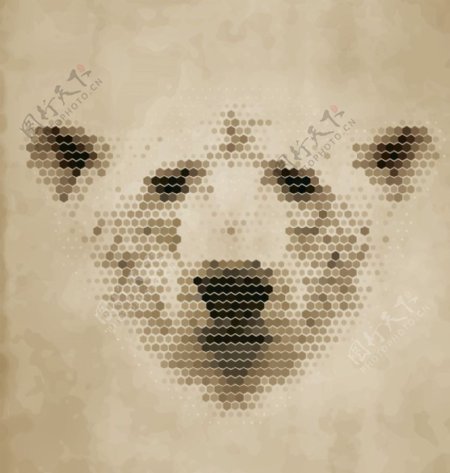 动物头像熊图片