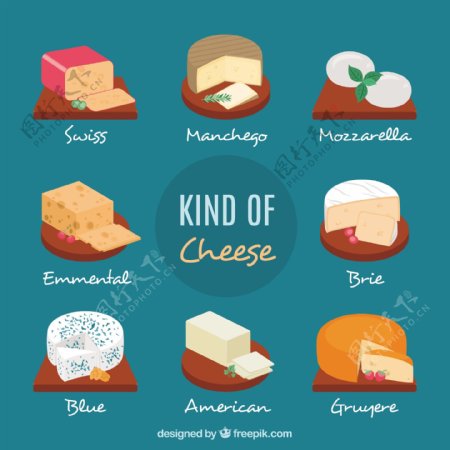不同类型的奶酪