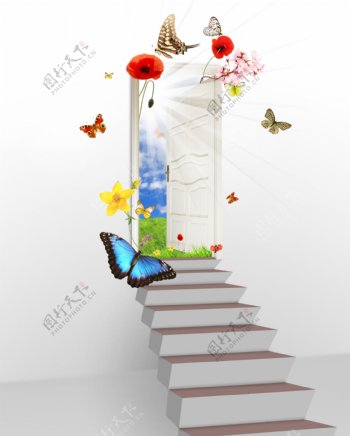台阶与蝴蝶