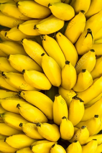 一串串的香蕉图片