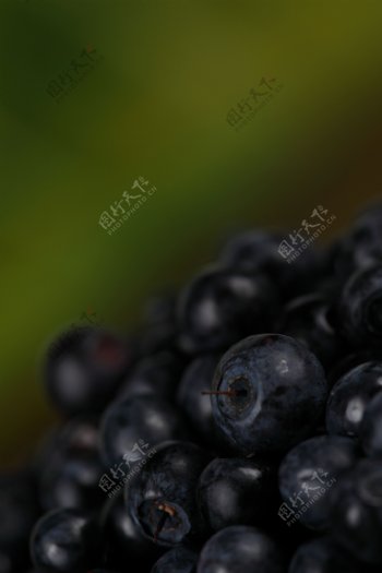 一堆蓝莓图片