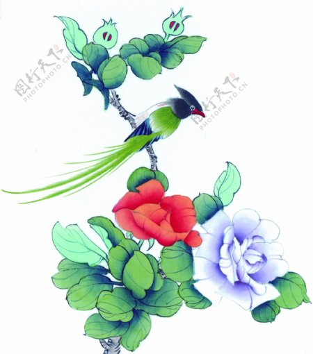 植物花卉与绿色小鸟图片