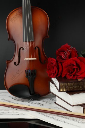 小提琴五线谱与花朵图片
