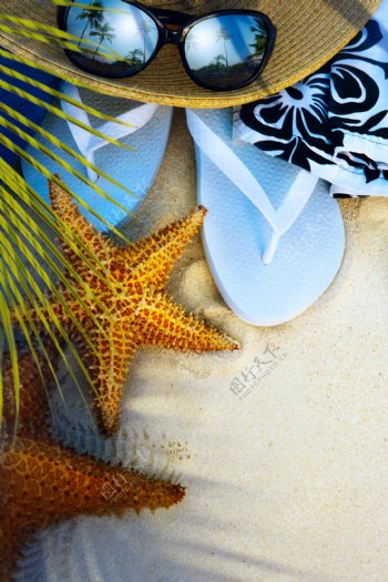沙滩上的海星拖鞋图片