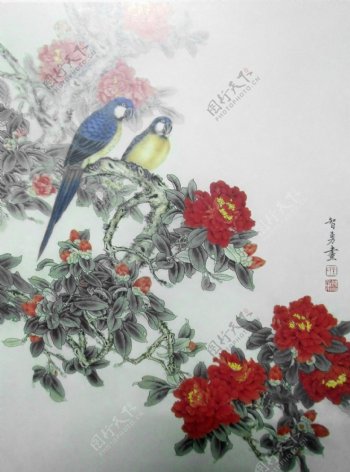 国画红花与鸟图片