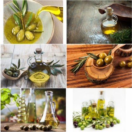 橄榄食品油